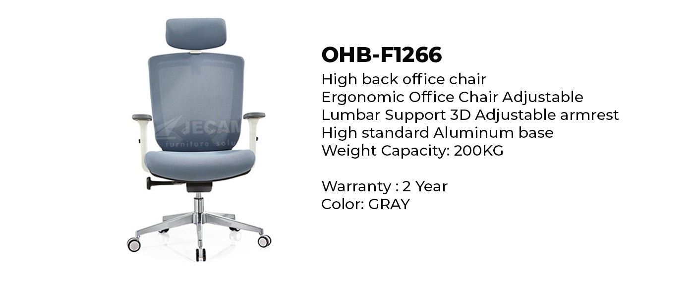 Ergonomic Computer Chair