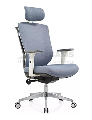 Ergo Executive Chair