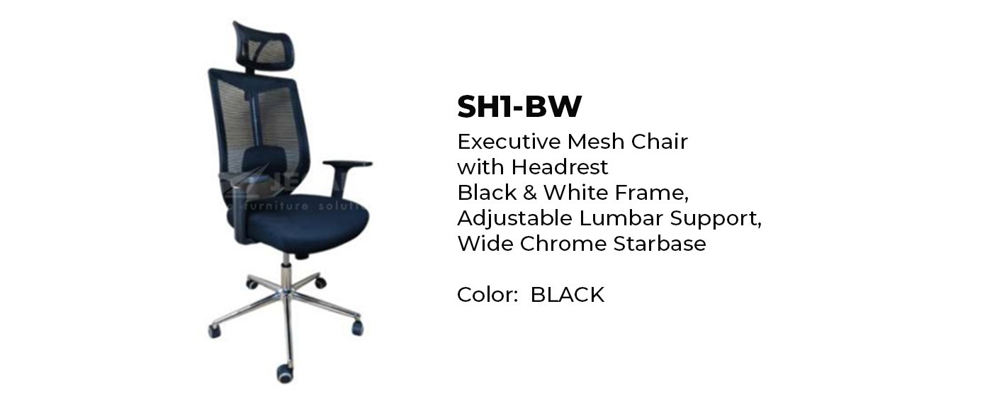 EXecutive Office Chair Mesh