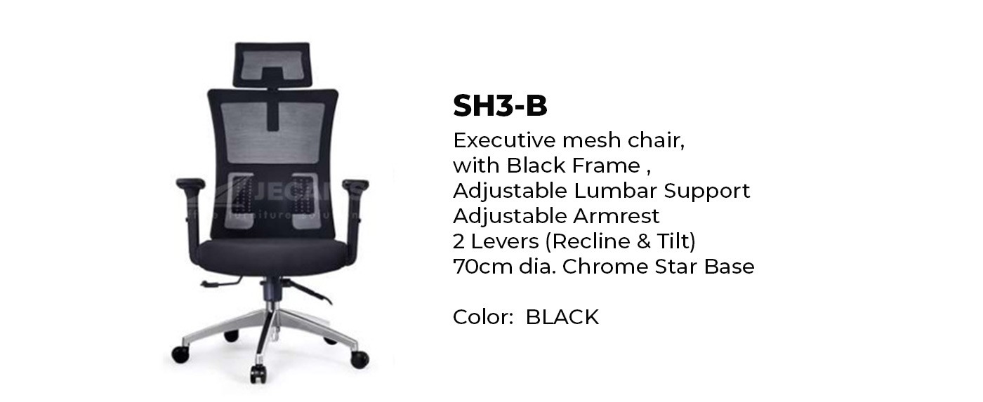 Executive Mesh Chair