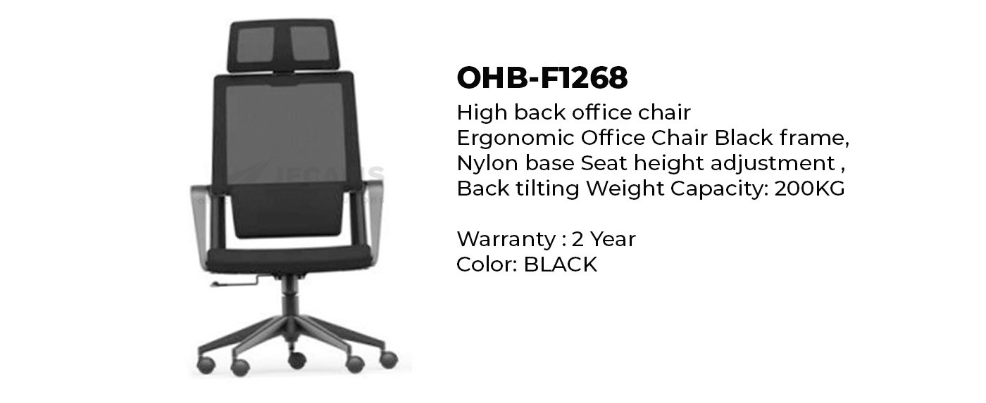 Ergonomic Office Chair