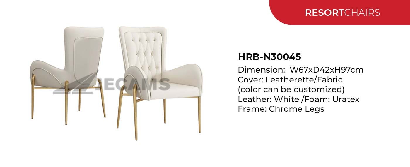 elegant chair for hotels