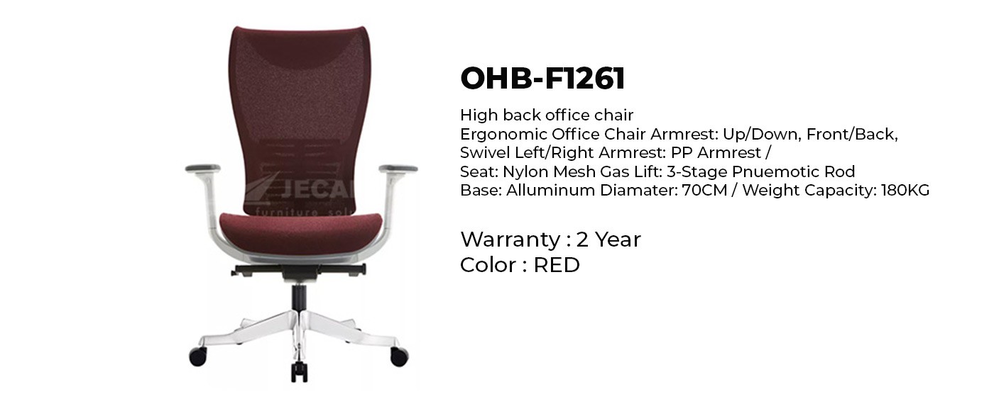 ergonomic lumbar support