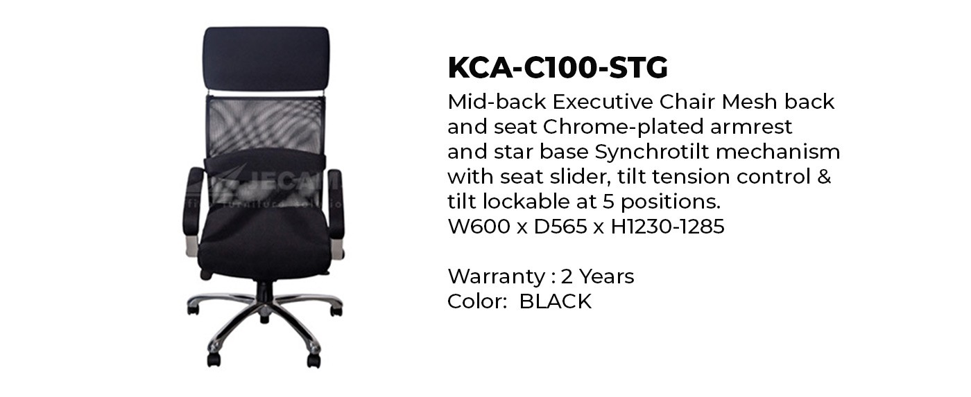 Executive Mesh Chair