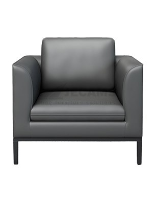 black elegant sofa