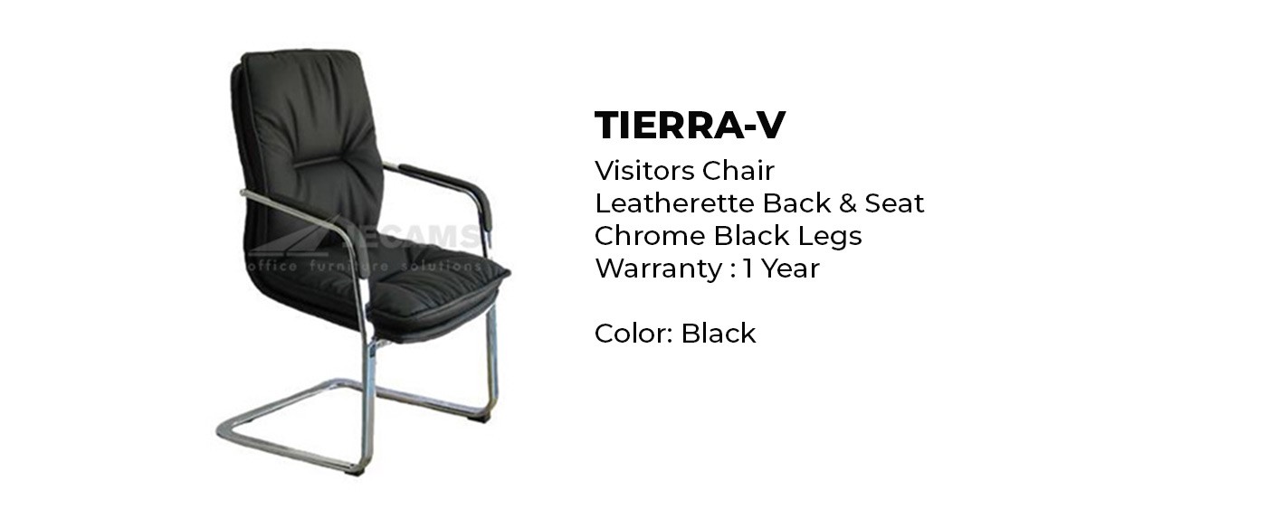 elegant visitor chair