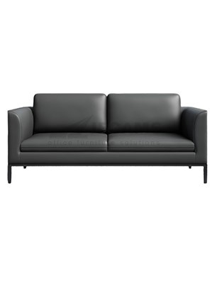 modern black sofa