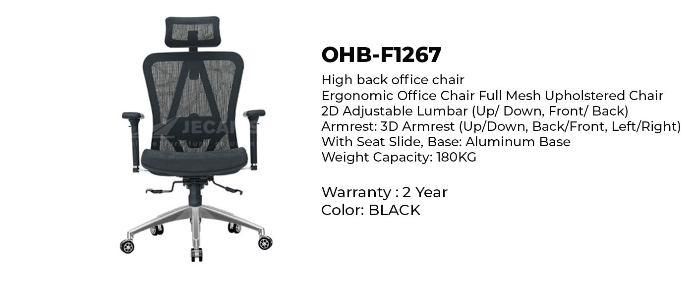 ergonomic mesh chair