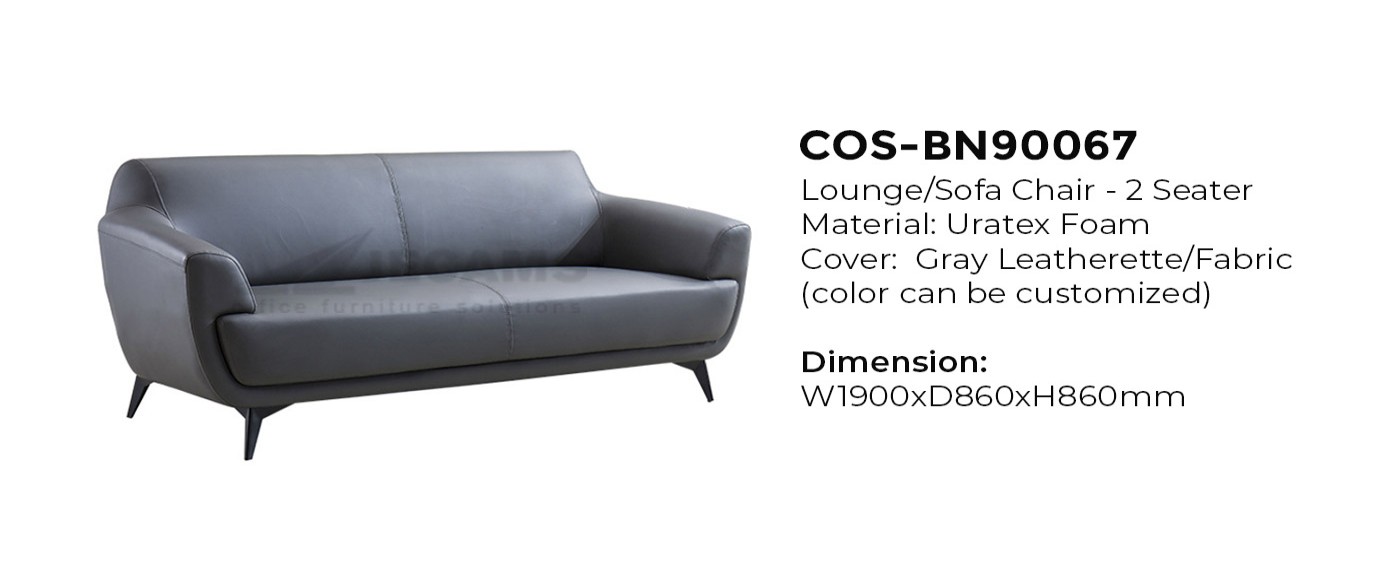 Modern Lounge Sofa Chair
