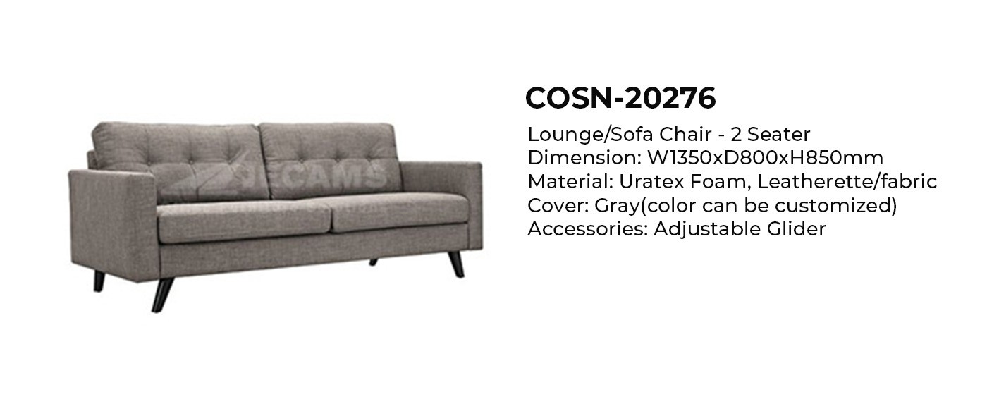 gray lounge sofa chair 2 seater