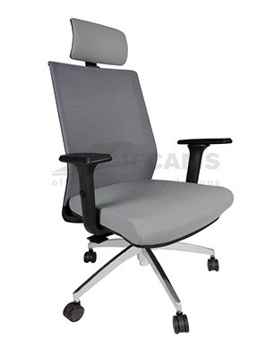 Adjustable mesh Chair