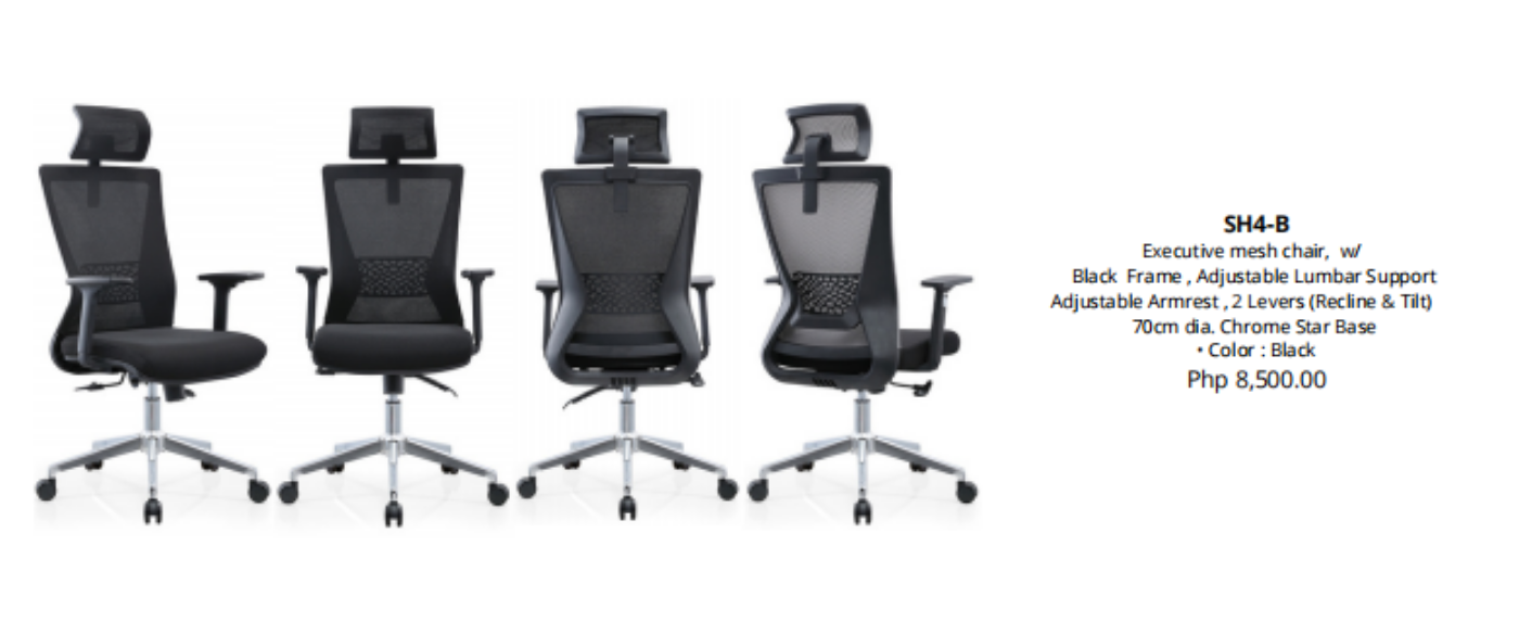 lumbar support mesh chair