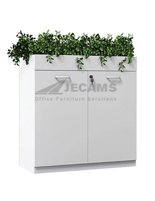 plant box office