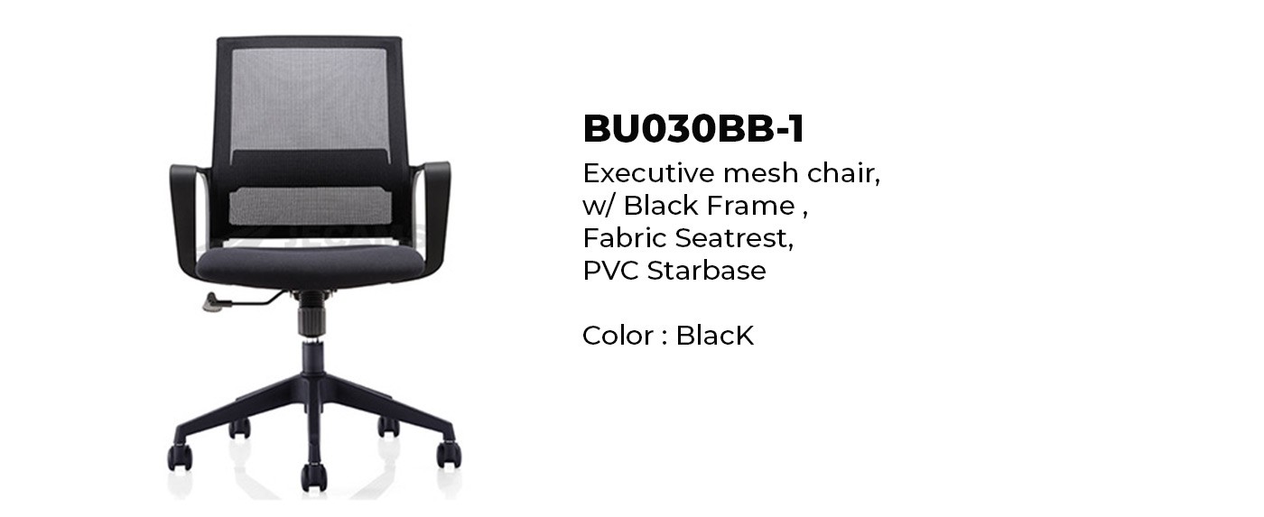 Executive Chair Mesh