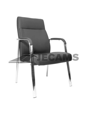 Leather upholstered visitors chair
